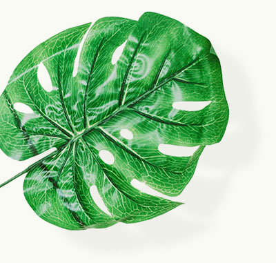 leaf-plant-bg